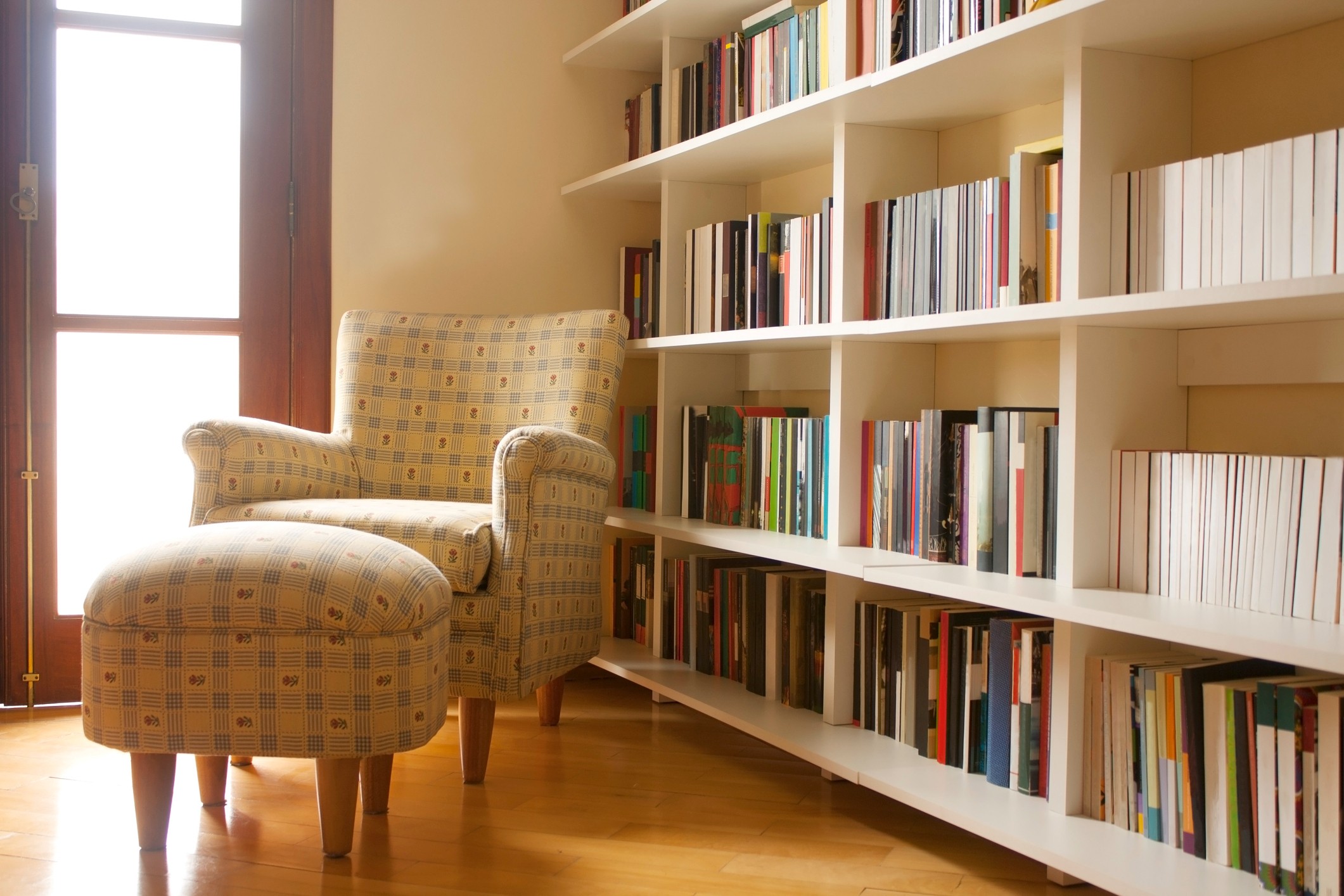 5 dicas para manter os livros na estante sempre limpos e organizados -  UAUIngleza