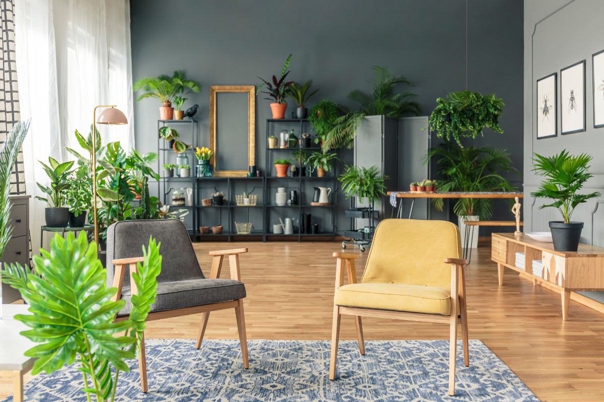 Urban jungle: como aplicar esse estilo de decoração